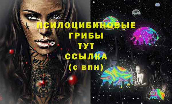 мескалин Ельня