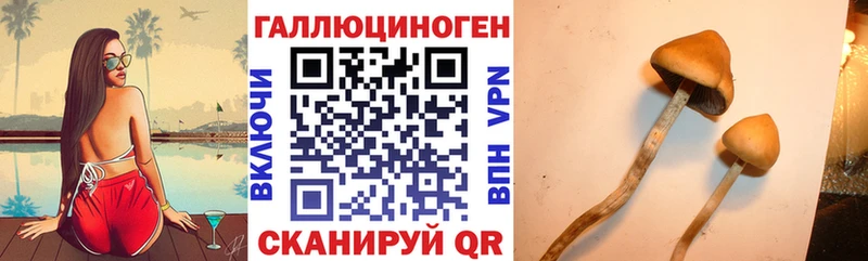 Галлюциногенные грибы GOLDEN TEACHER  Знаменск 